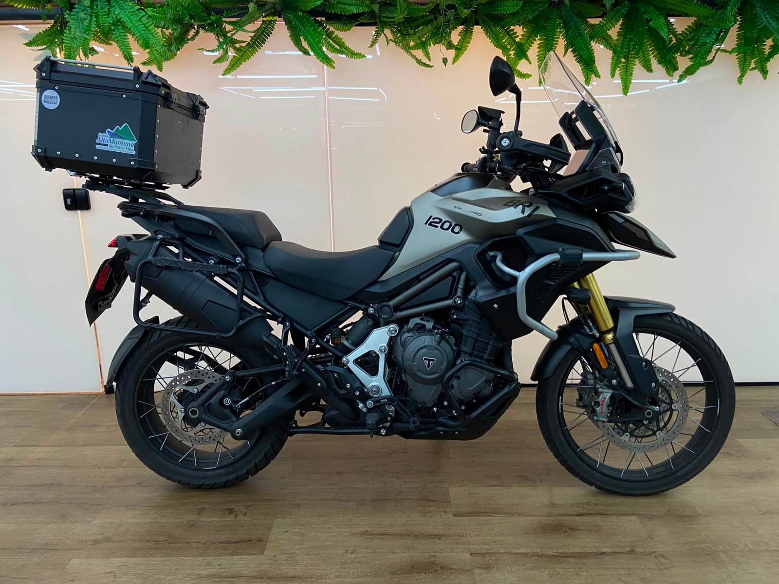 TRIUMPH TIGER 1200 RALLY PRO — foto 1 de 7